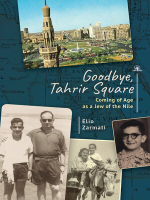 cover image of Goodbye, Tahrir Square
